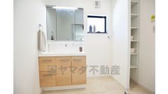 三面鏡タイプだから朝の準備も効率的ですね、可動式の収納棚完備