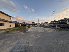 現地写真