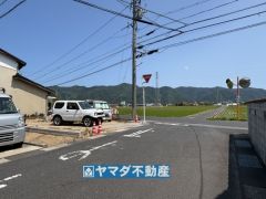 現地写真　5/31撮影